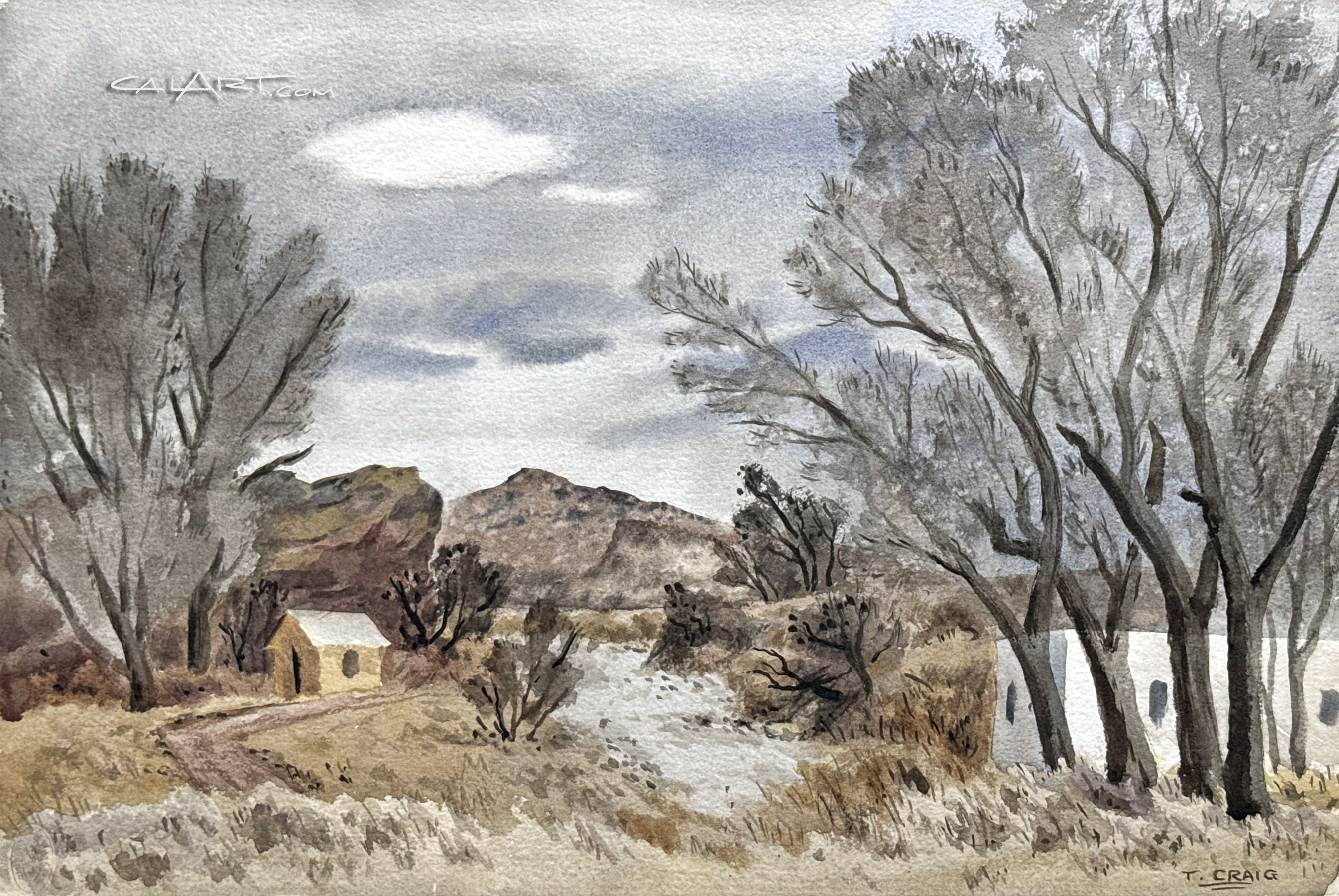 Tom Craig